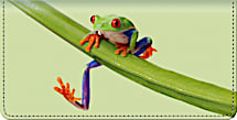 Froggy Fun Checkbook Cover