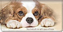 Faithful Friends - Cavalier King Charles Checkbook Cover