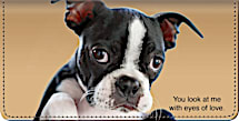 Faithful Friends - Boston Terrier Checkbook Cover