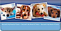 Rescued is My Breed of Choice Checkbook Cover