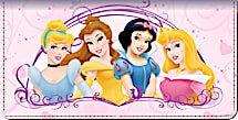 Disney Princess Dreams Checkbook Cover