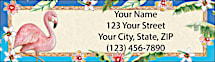 Parrot Bay Address Labels