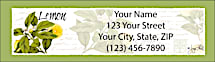 Botanical Fruits Return Address Label