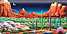 Desert Nights Checkbook Cover