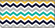 Chevron Chic Checkbook Cover