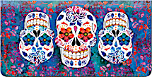 Day of the Dead Checkbook Cover