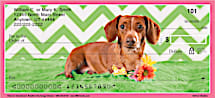 Go Weiner Dog Wild with Checks in Honor of Your Precious Pup