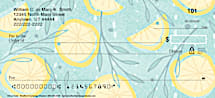 Citrus Twist Personal Checks Feature A Refreshing Splash of Style