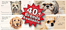 Choose From Over 40 Dog Breeds