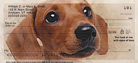 Dachshund checks hotsell