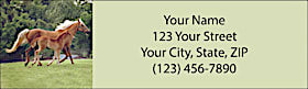 Unbridled Joy Return Address Label