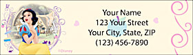 Disney Princess Dreams Return Address Label