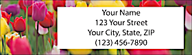 Tulips Return Address Label