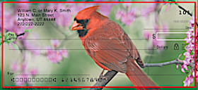 Cardinals Personal Checks