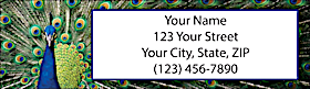 Pretty Peacocks Return Address Label