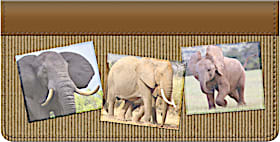 Elephants Checkbook Cover