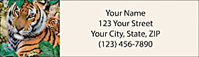 Tigers Return Address Label