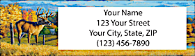 Personalized Mailing Address Labels
