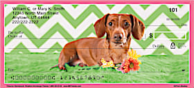 Chevron Dachshund Personal Checks