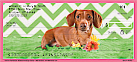 Chevron Dachshund Personal Checks