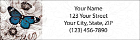 A Touch of Color II Return Address Label