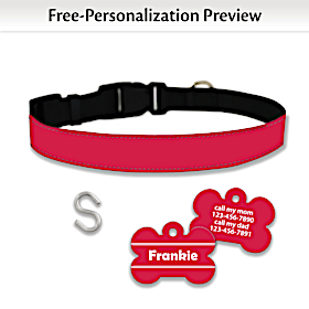 Cherry Bomb Pet Collar and Personalized Tag Set