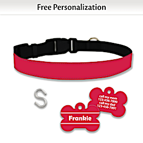 Cherry Bomb Pet Collar and Personalized Tag Set