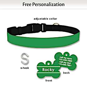 Shamrock Green Pet Collar and Personalized Tag Set