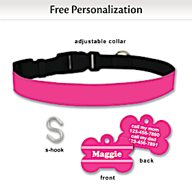 Pretty Party Pink Pet Collar and Personalized Tag Set