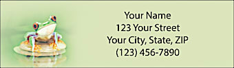Froggy Fun Return Address Label