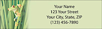 Froggy Fun Return Address Label