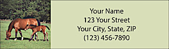 Unbridled Joy Return Address Label