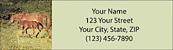 Unbridled Joy Return Address Label