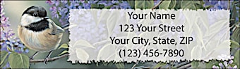 Songbirds Return Address Label