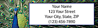 Pretty Peacocks Return Address Label