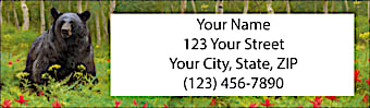 Bears Return Address Label