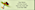 Froggy Fun Return Address Label