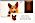 Corgi Bonus Buy
