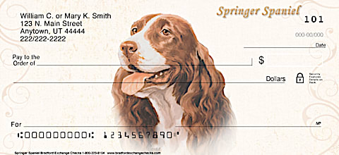 Springer Spaniel Personal Checks