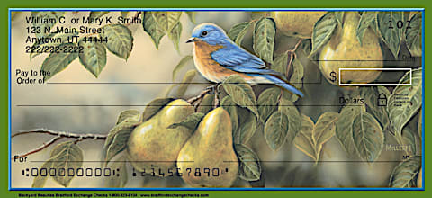 Songbirds Personal Checks