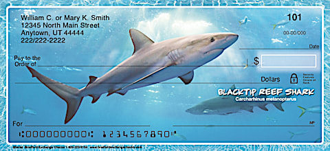 Sharks Personal Checks