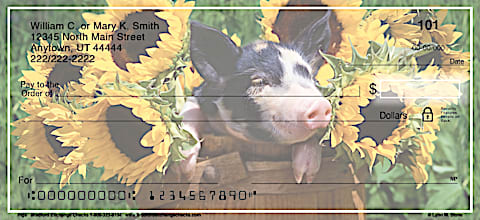 Pigs Personal Checks