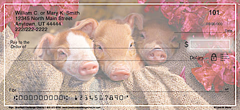 Pigs Personal Checks