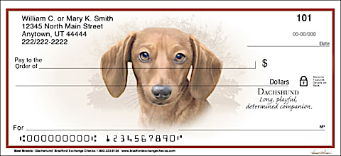 Best Breeds - Dachshund Personal Checks