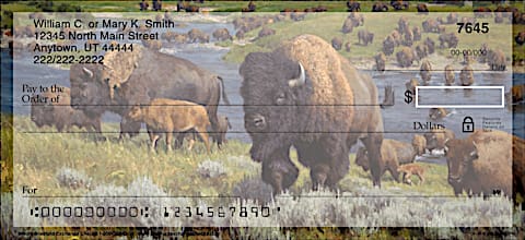 Bison Personal Checks
