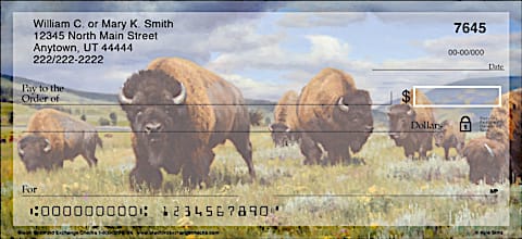 Bison Personal Checks