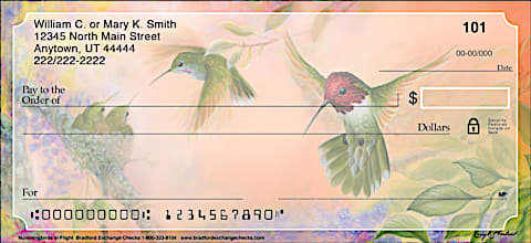 Spy the Secret Life of Hummingbirds in this Exclusive Check Series