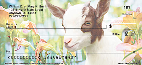 Jump into the Goat Loving Craze with these Check Designs