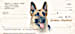 German Shepherd Dog Personal Checks