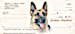 German Shepherd Dog Personal Checks